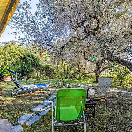 Degli Ulivi By Interhome * Imperia