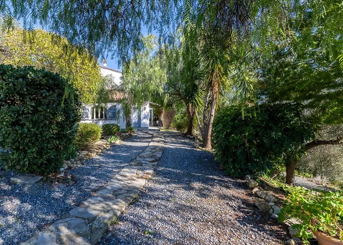 Degli Ulivi By Interhome